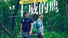 现代女孩的衣柜