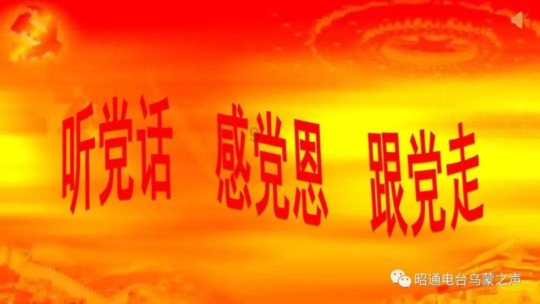 动物帮帮忙保卫家园